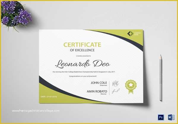 Free Business License Template Of 99 Free Printable Certificate Template Examples In Pdf