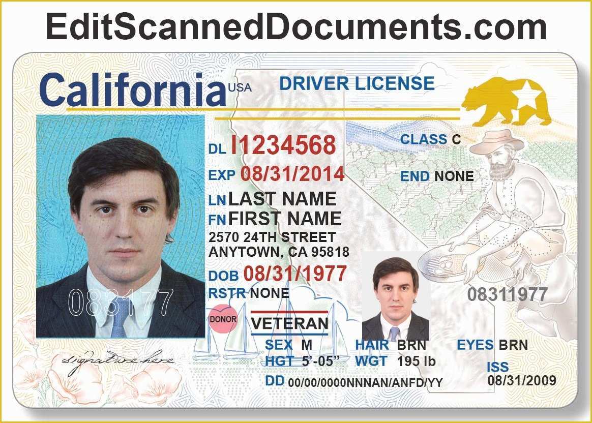 Free Business License Template Of Pretty California Drivers License Template Gallery