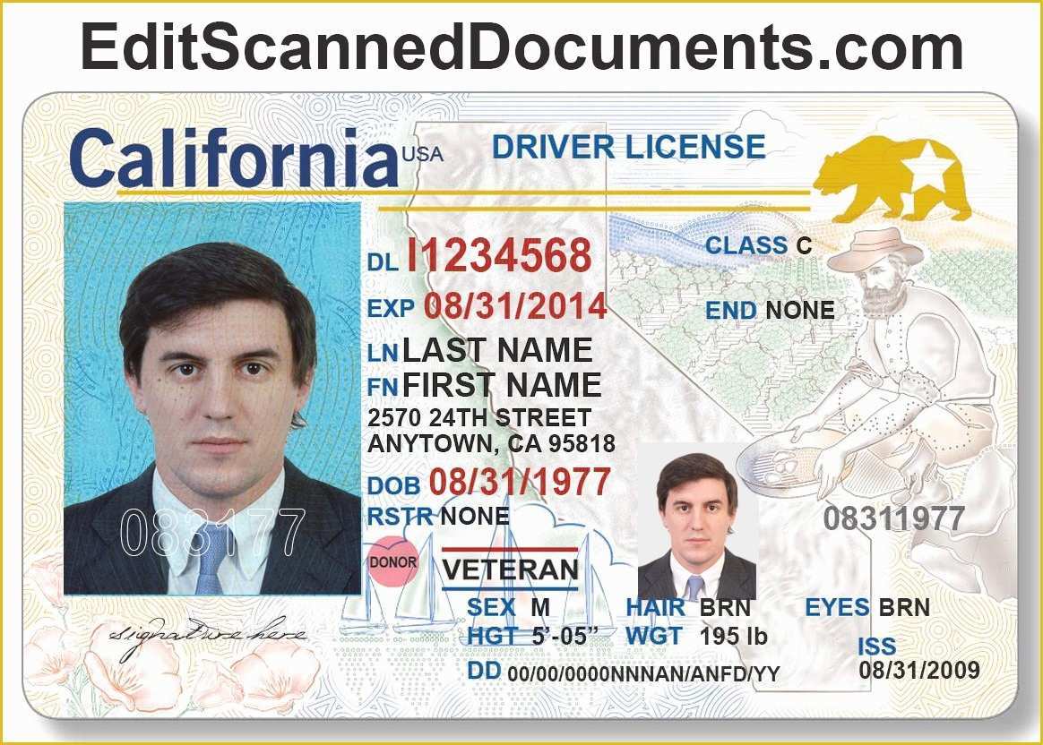 california license template