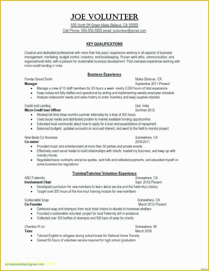 Free Business Plan Template for Summer Camp Of Business Plans Template