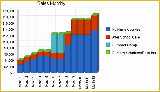 Free Business Plan Template for Summer Camp Of Child Day Care Services Business Plan Sample Strategy