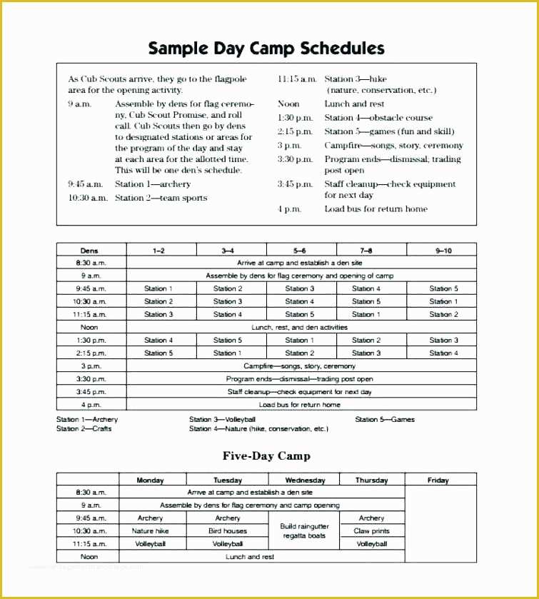 Free Business Plan Template for Summer Camp Of Summer Camp Business Plan Template Summer Camp Business
