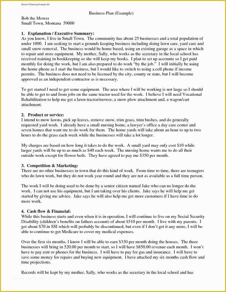 Free Business Plan Template Pdf Of Best 25 Business Plan Sample Pdf Ideas On Pinterest