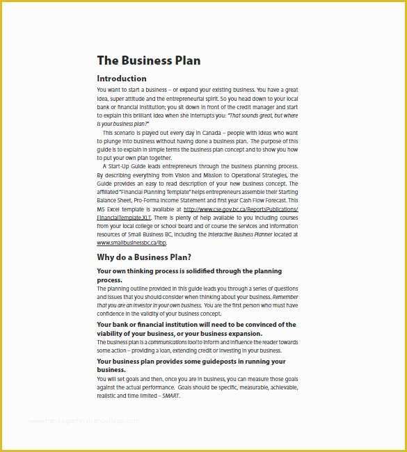 Free Business Plan Template Pdf Of Startup Business Plan Template 19 Word Excel Pdf