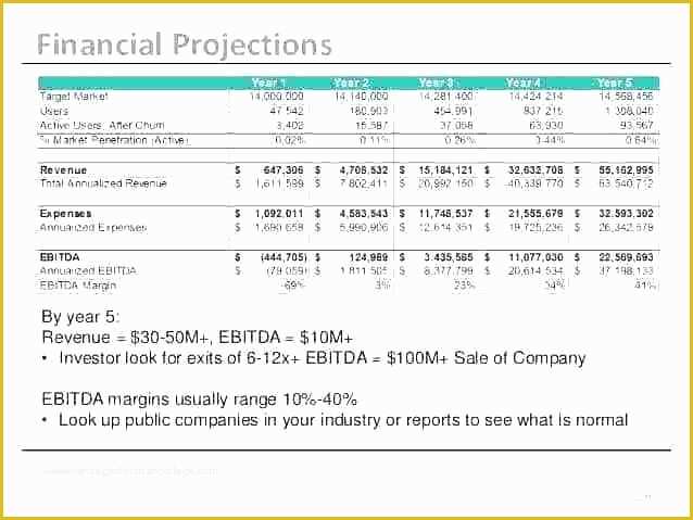 Free Business Projection Template Of Sample Financial Projections Business Plan 5 Year