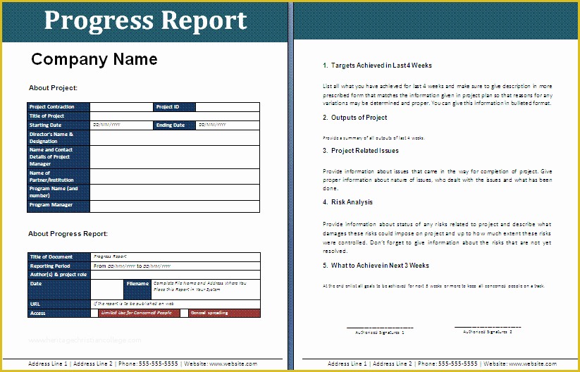 Free Business Report Template Of Progress Report Template