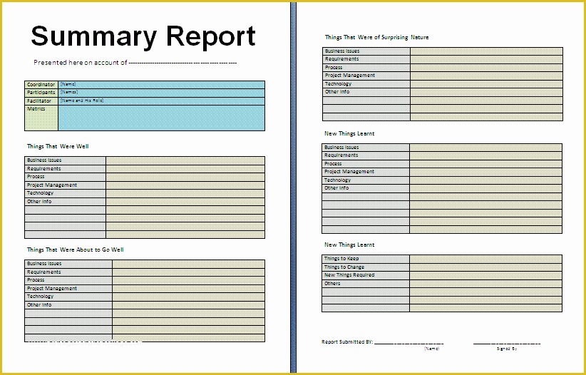 Free Business Report Template Of Summary Report Template