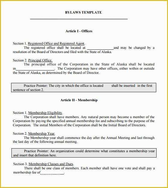 Free bylaws Template Of 7 bylaws Templates