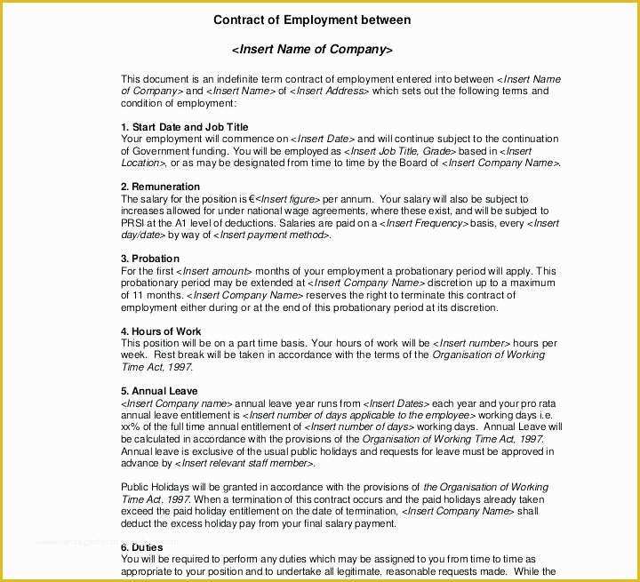 44 Free Casual Employment Contract Template