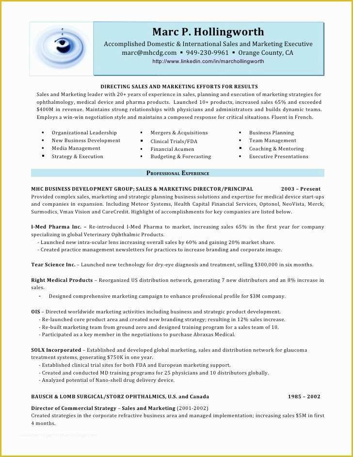 Free Ceo Resume Templates Of 20 Functional Executive Resume New