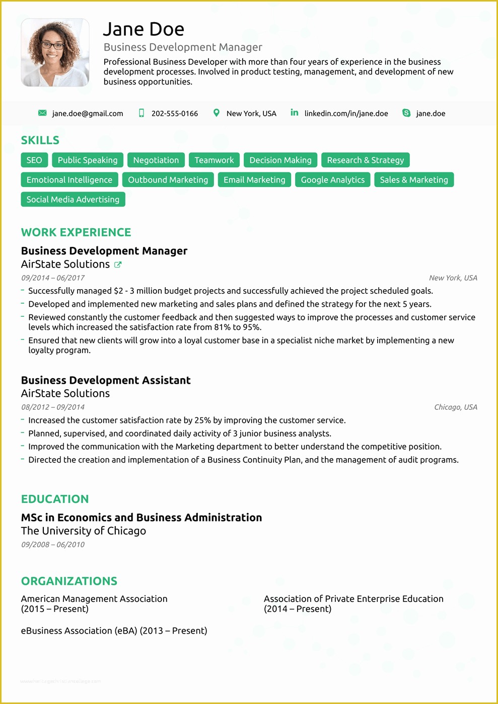 Free Ceo Resume Templates Of 2018 Professional Resume Templates as they Should Be [8 ]