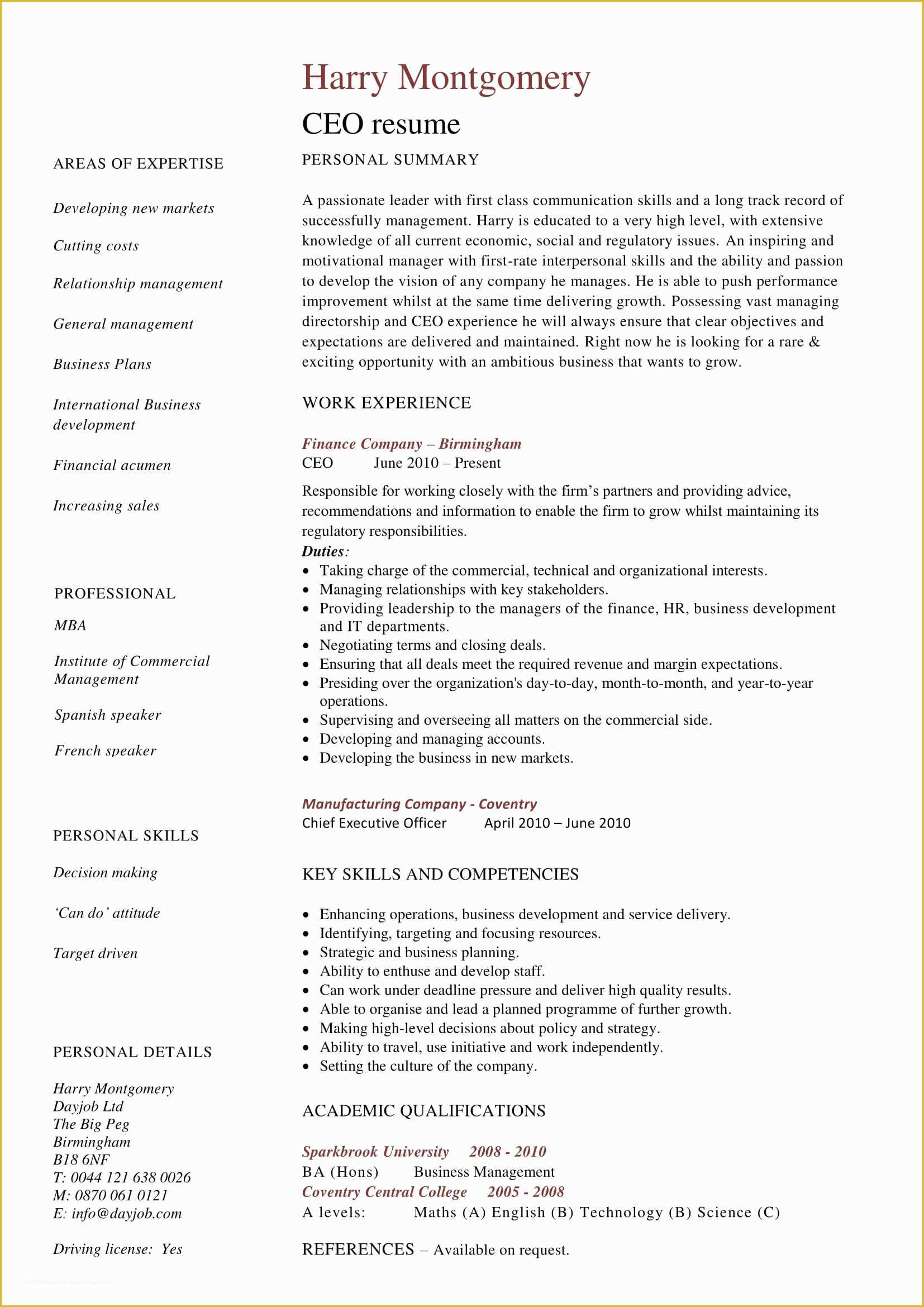 Free Ceo Resume Templates Of 24 Award Winning Ceo Resume Templates Wisestep