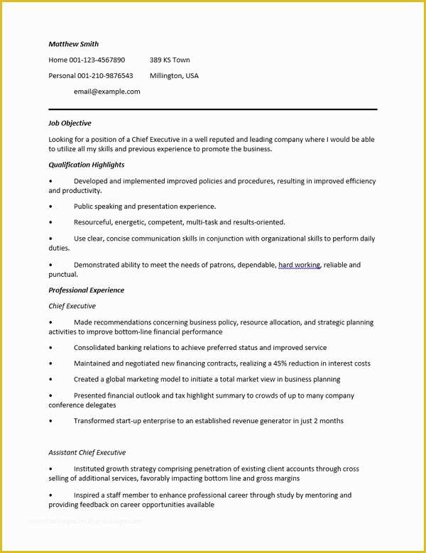 Free Ceo Resume Templates Of 24 Award Winning Ceo Resume Templates Wisestep