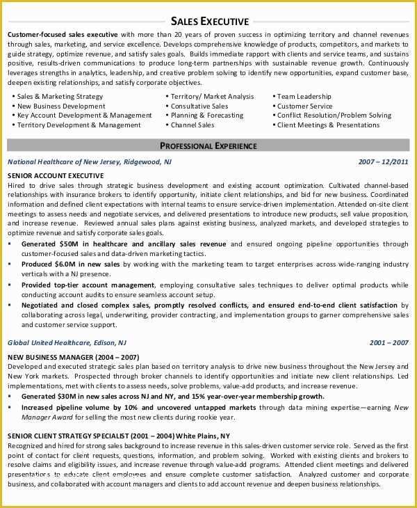 Free Ceo Resume Templates Of 25 Free Executive Resume Templates Pdf Doc