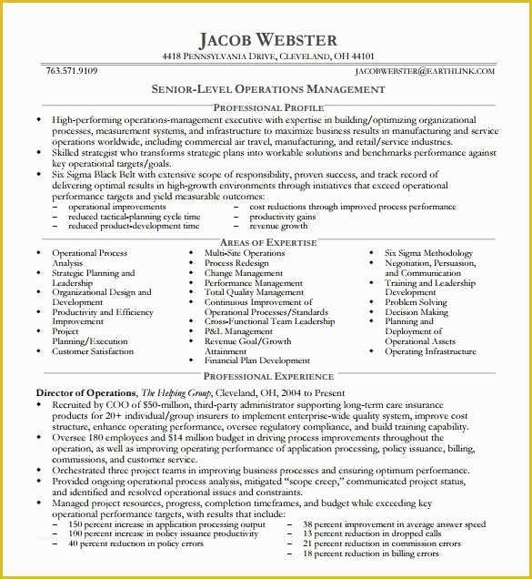 Free Ceo Resume Templates Of 6 Executive Resume Templates Word Website Wordpress Blog