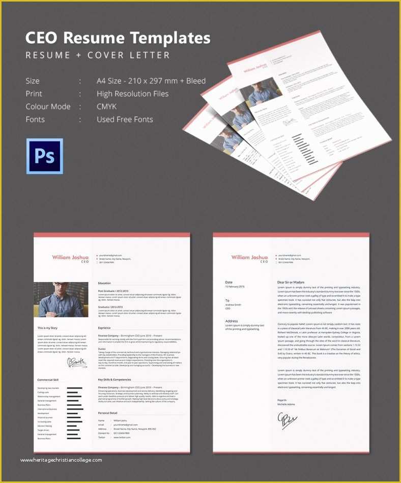 Free Ceo Resume Templates Of Ceo Resume Template – 11 Free Samples Examples format