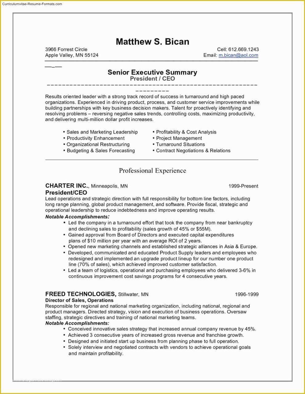 Free Ceo Resume Templates Of Ceo Resume Template Free Samples Examples & format