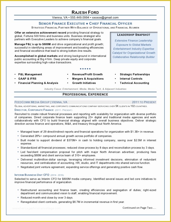 Free Ceo Resume Templates Of Executive Resume Samples