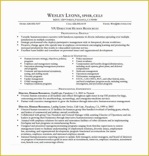 Free Ceo Resume Templates Of Executive Resume Template 14 Free Word Excel Pdf