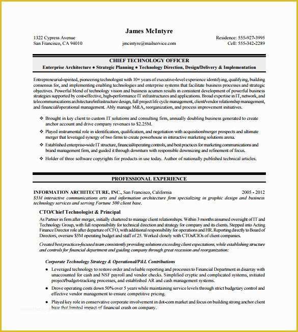Free Ceo Resume Templates Of Executive Resume Template 14 Free Word Excel Pdf