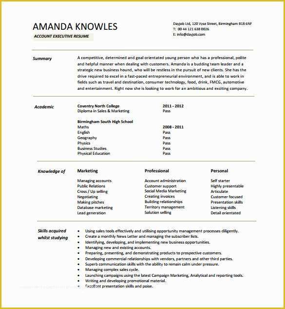 Free Ceo Resume Templates Of Executive Resume Template 14 Free Word Excel Pdf