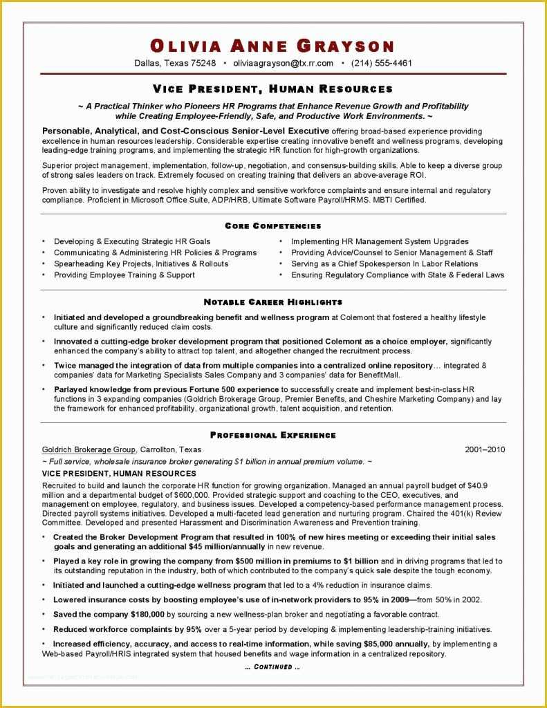 Free Ceo Resume Templates Of Executive Resume Template 31 Free Word Pdf Indesign