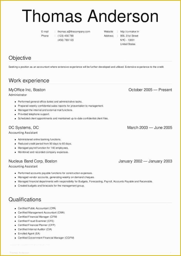 Free Ceo Resume Templates Of Executive Resume Template 31 Free Word Pdf Indesign