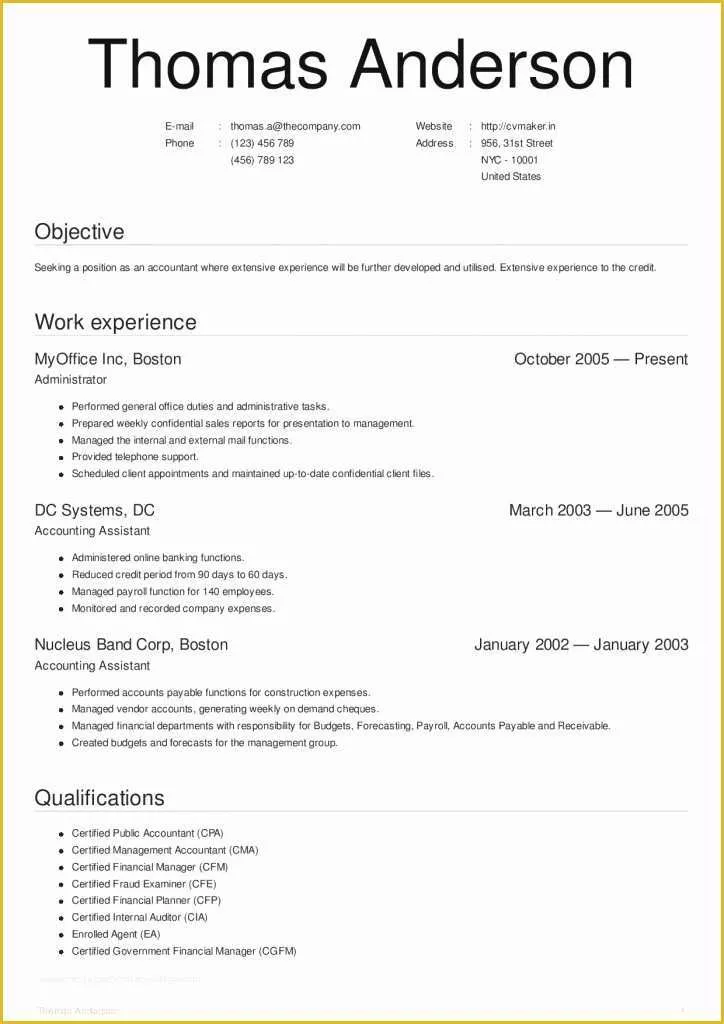 65 Free Ceo Resume Templates