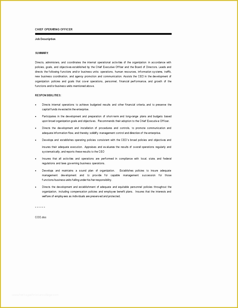 Free Ceo Resume Templates Of Free Chief Executive Ficer Resume