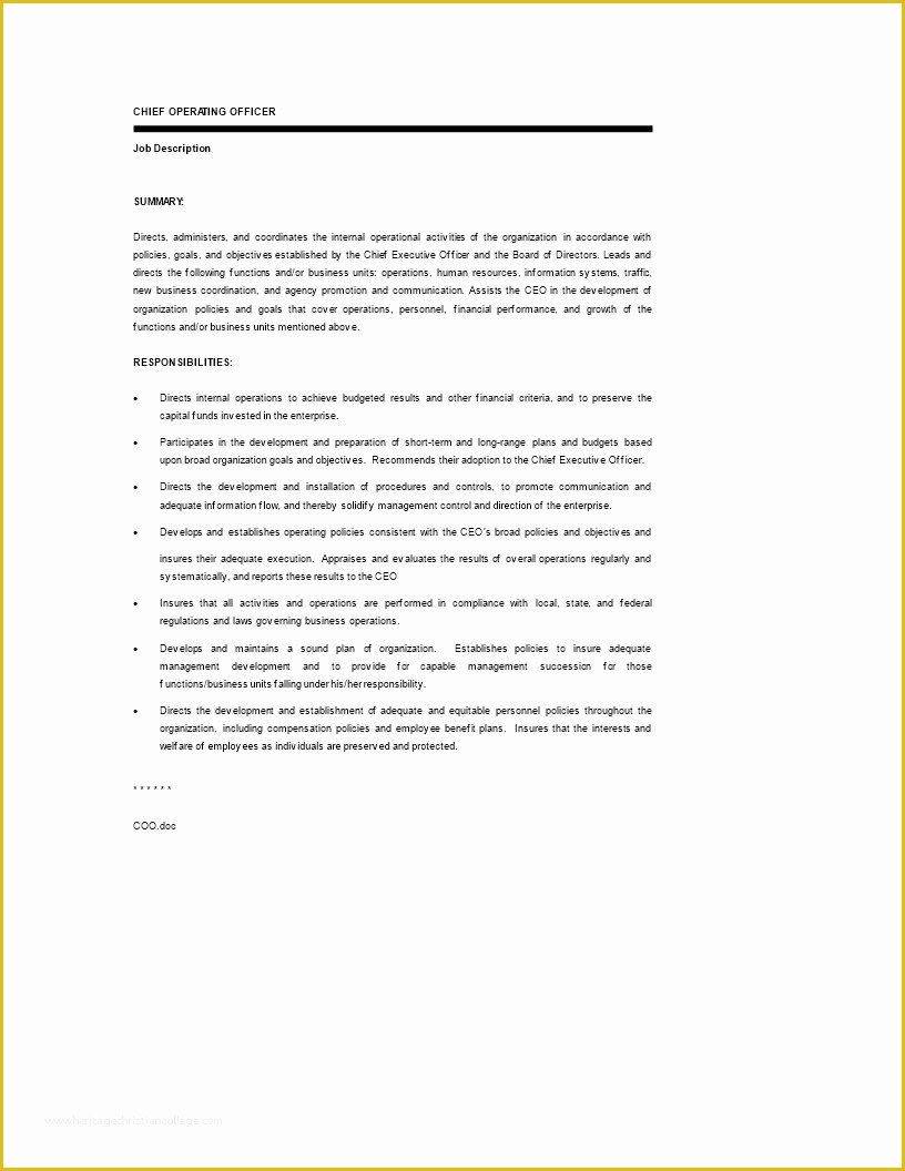 Free Ceo Resume Templates Of Free Chief Executive Ficer Resume