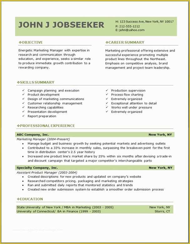 Free Ceo Resume Templates Of Free Professional Resume Templates Download
