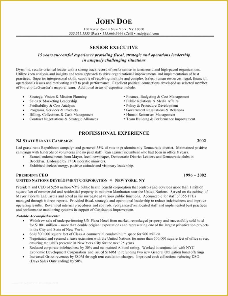 Free Ceo Resume Templates Of Literarywondrous Ceo Resume Sample Doc