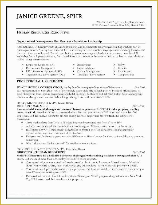 Free Ceo Resume Templates Of Resume Ceo Template Resume Sample Ceo Resume Template