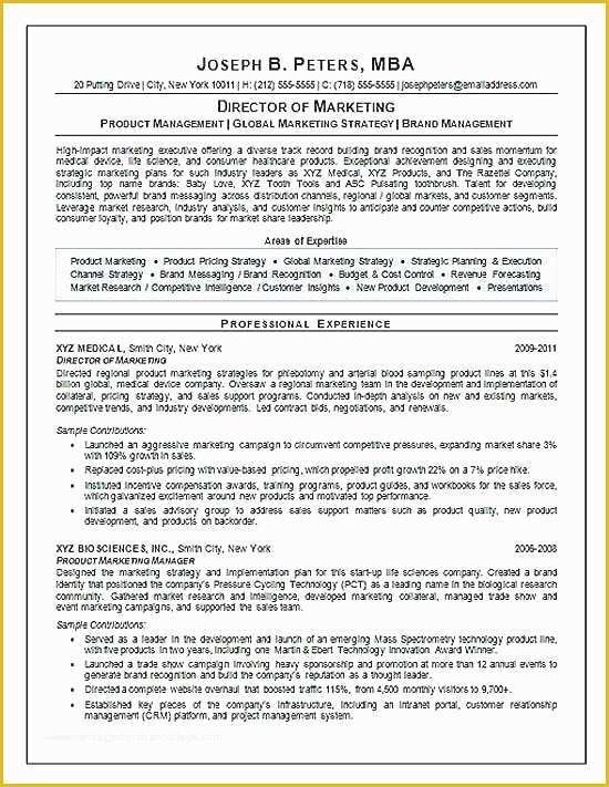 Free Ceo Resume Templates Of Resume Ceo Template Resume Templates Resume Template Word