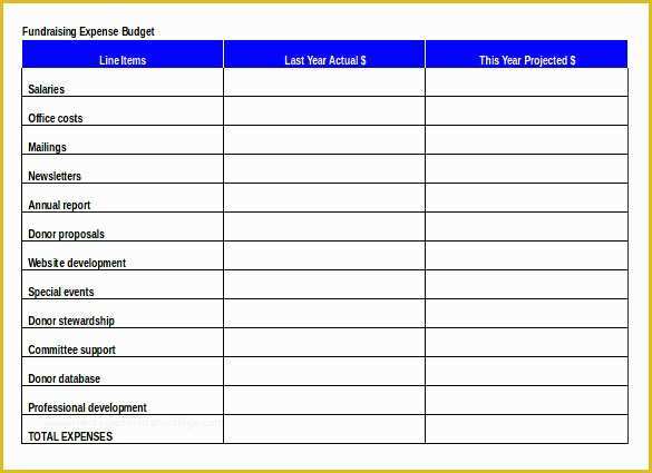 Free Charity Newsletter Template Of 15 Fundraiser order Templates Ai Word