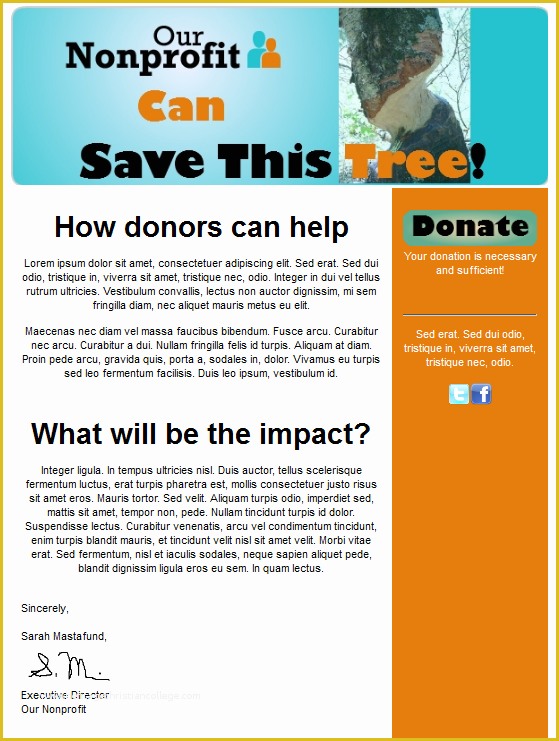 Free Charity Newsletter Template Of Donor Newsletter Template Templates Station