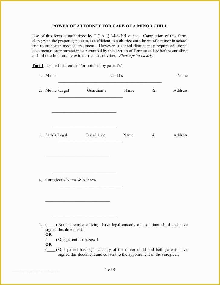 Free Child Travel Consent form Template Pdf Of Power attorney form for Child Free Printable