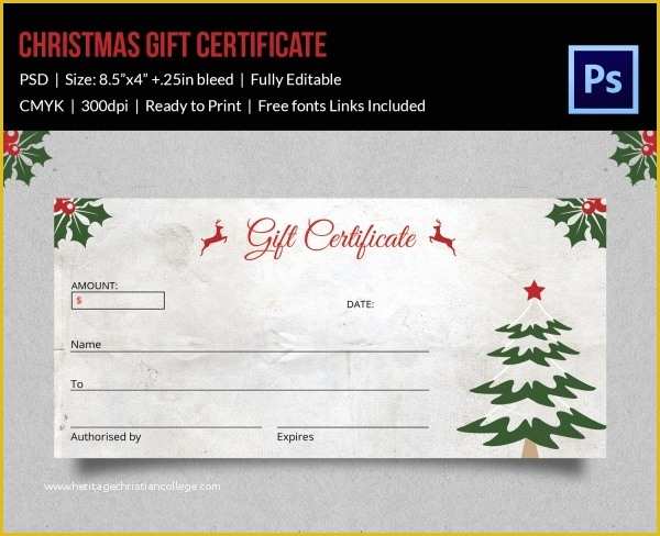 Free Christmas Gift Certificate Template Of Christmas Gift Certificate Templates 21 Psd format