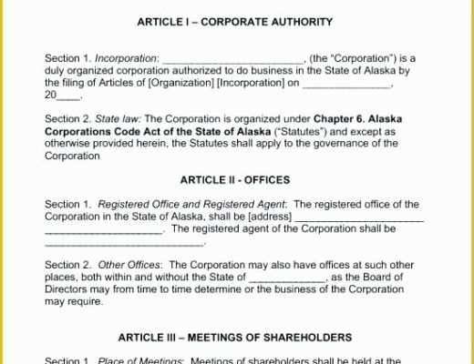Free Church bylaws Template Of Free bylaws Corporate Free Llc Operating Agreement