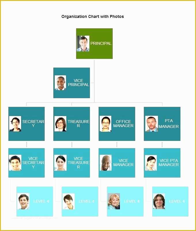 Free Church organizational Chart Template Of Free organizational Chart Template 5 Word Documents