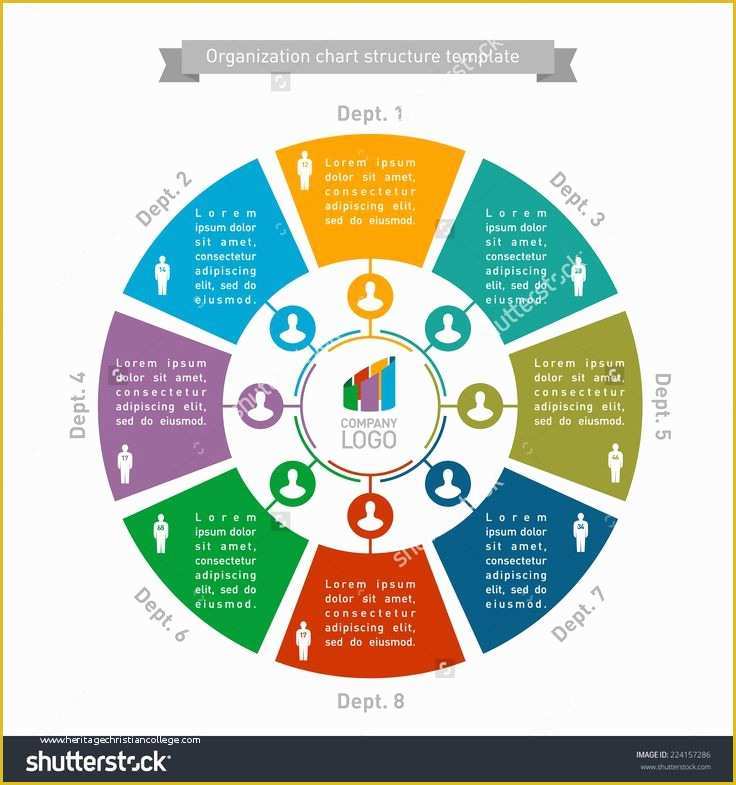 Free Circular Organizational Chart Template Of 17 Best Images About