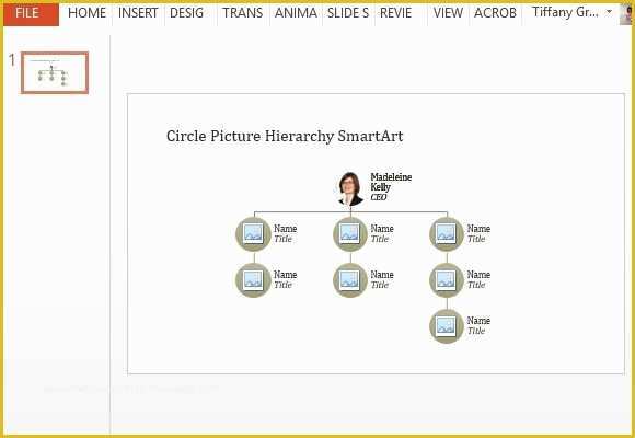 Free Circular organizational Chart Template Of Circle Picture organizational Chart Powerpoint Template