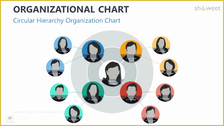 Free Circular organizational Chart Template Of organizational Charts for Powerpoint