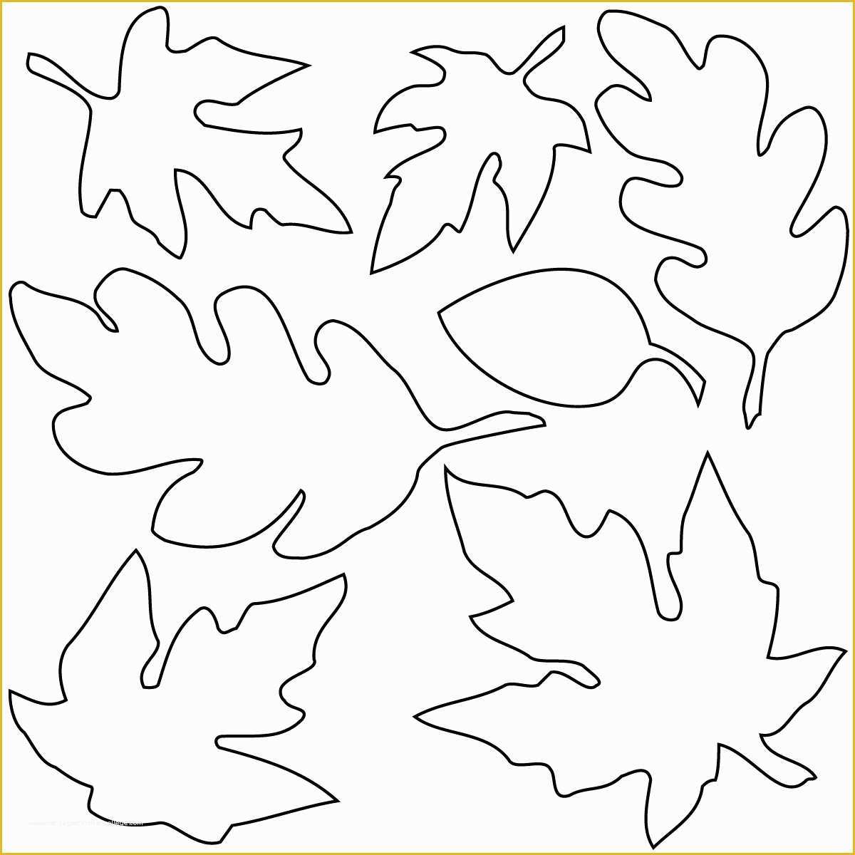 Free Clip Art Templates Of Leaves Clip Art Black &amp; White Fall Autumn Seasons