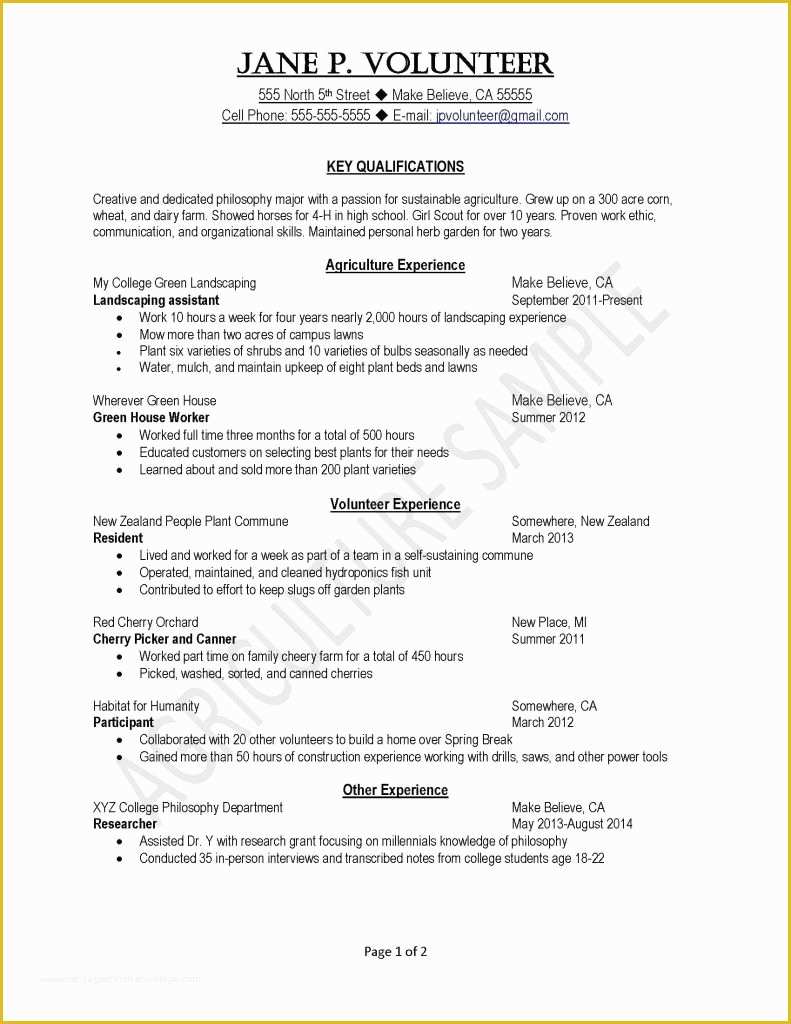 Free Colorful Resume Templates Of Favorite Colorful Resume Template Free Download