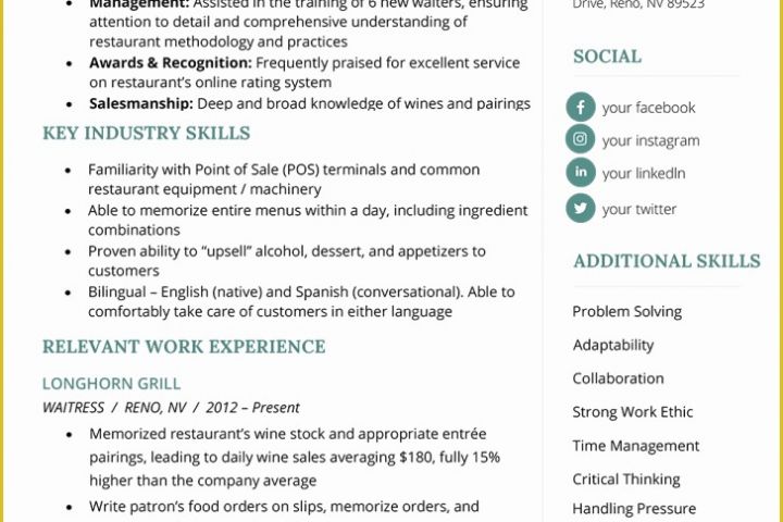 Free Combination Resume Template Of Bination Resume Example Templates Tag 45 Stunning