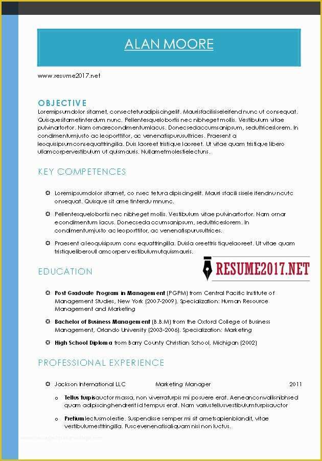 Free Combination Resume Template Of Bination Resume format 2017