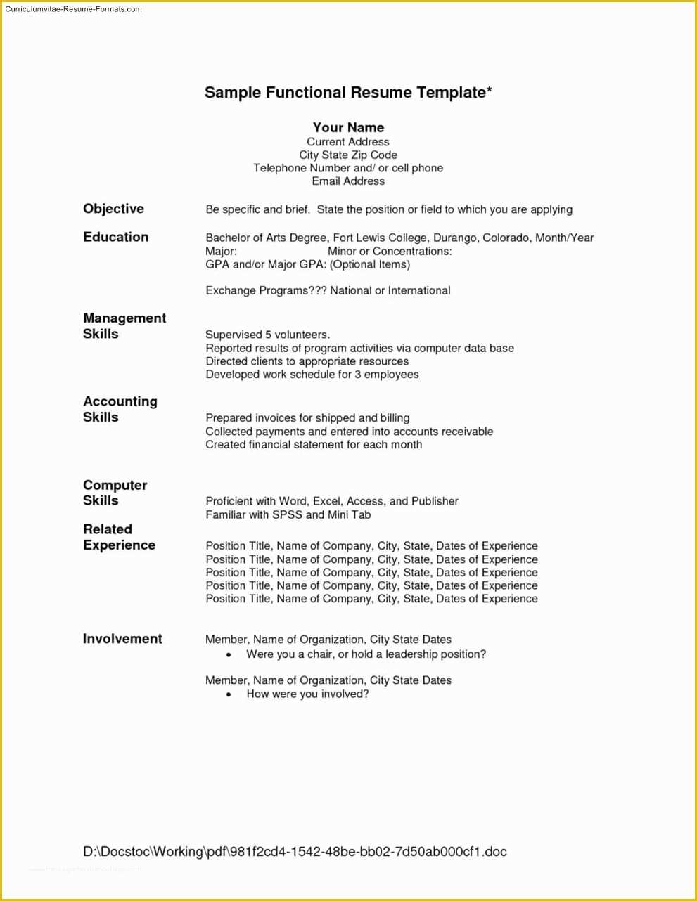 Free Combination Resume Template Of Bination Resume Template Free Free Samples Examples
