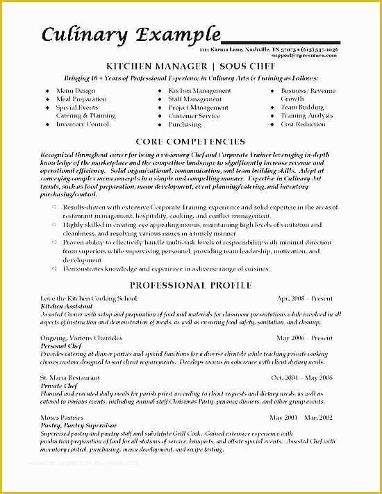 Free Combination Resume Template Of Bination Resume Template Word Best Free Download