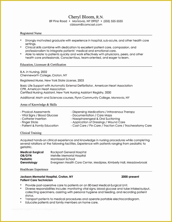 Free Combination Resume Template Of Certified Nursing assistant S Blog 3 Different Resume